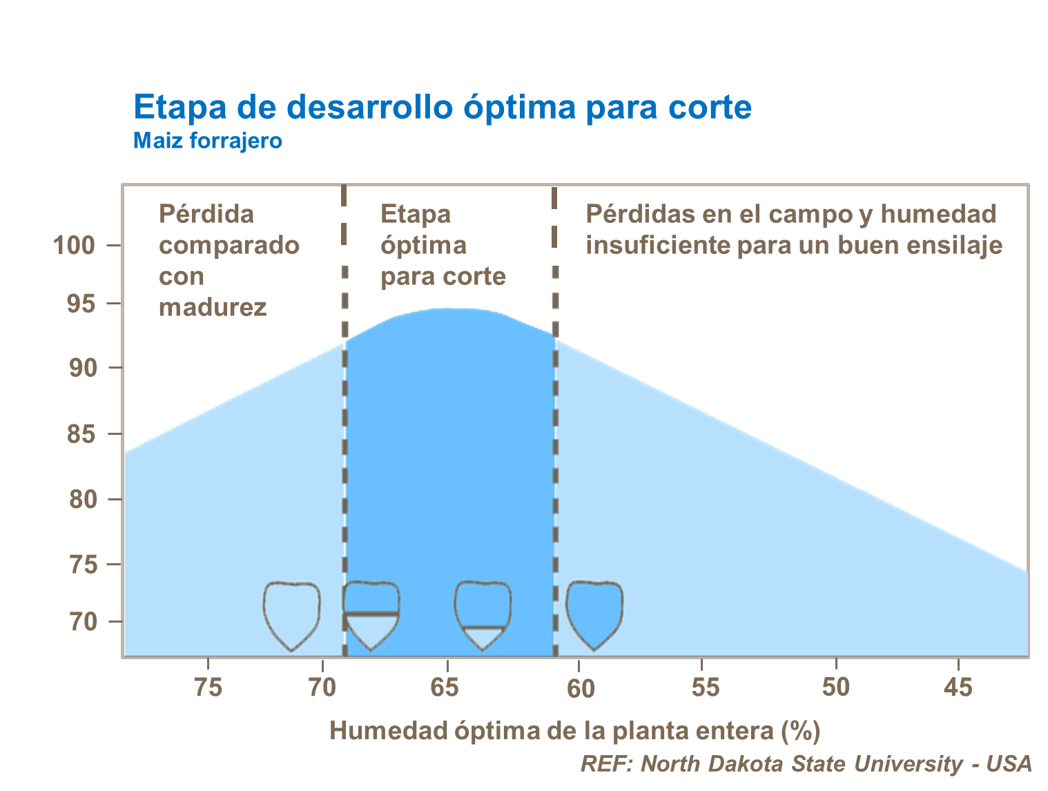 Desarrollo optimo para corte