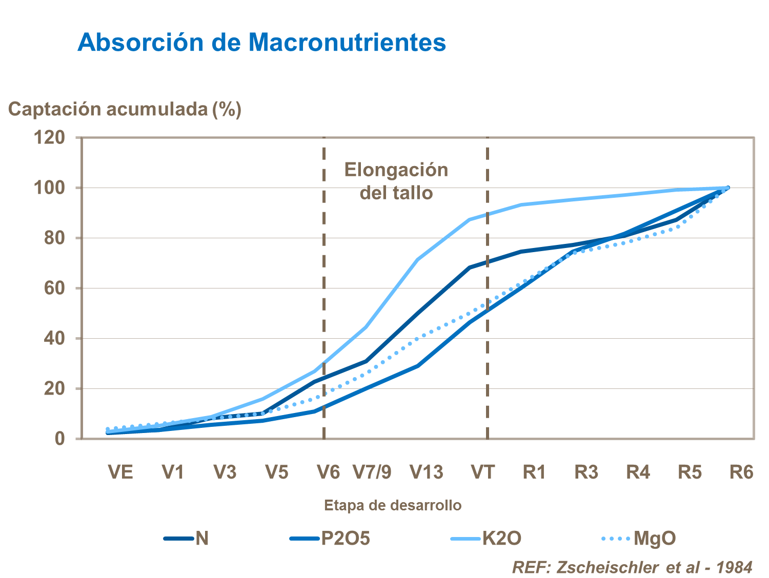 Absorción de macronutrientes