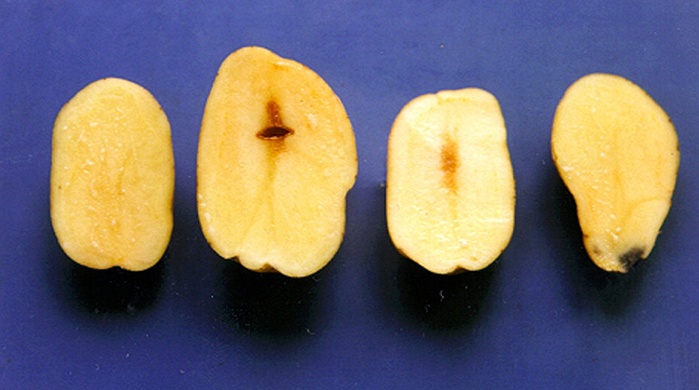 Reducir decoloración de las papas