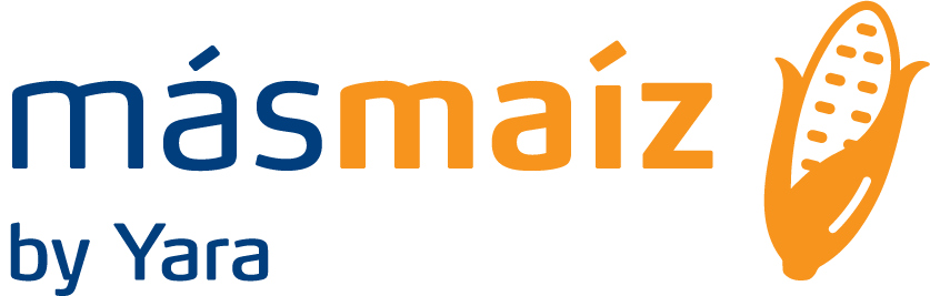 MásMaíz